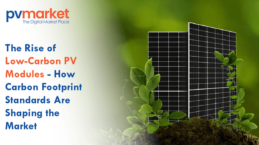 Rise of Low-Carbon PV Modules