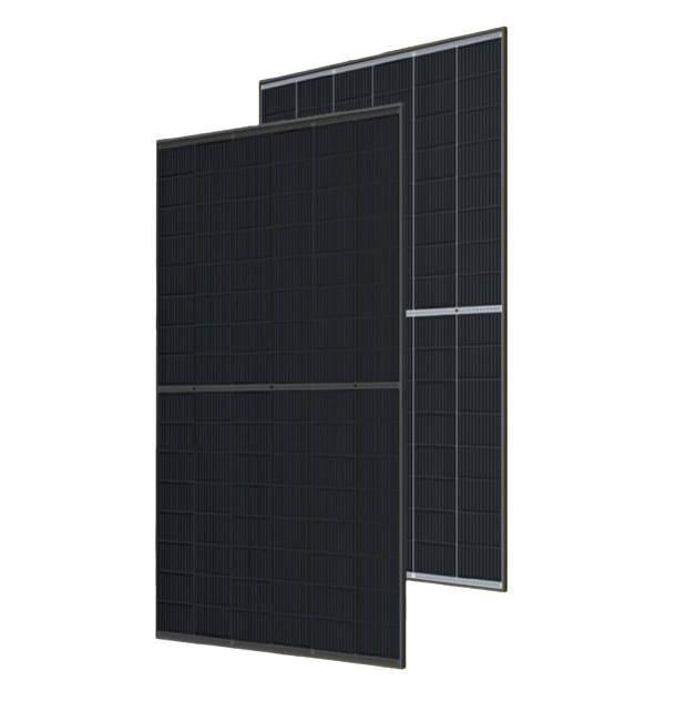 Red Solar 320W Bifacial Double-Glass Solar Module (CETC-320T)