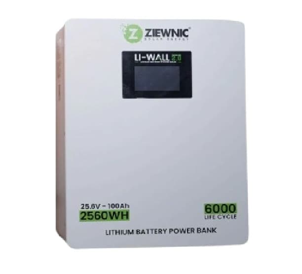 Ziewnic LI-Wall 2.0 Lithium Battery, 24V100AH